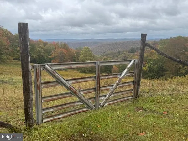 a living room with furniture and a lamp