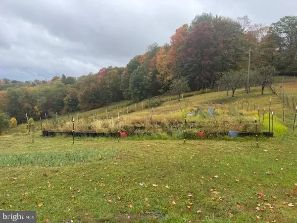 a living room with furniture and a wall painting