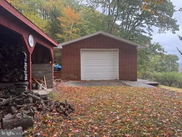 a view of a yard with trees