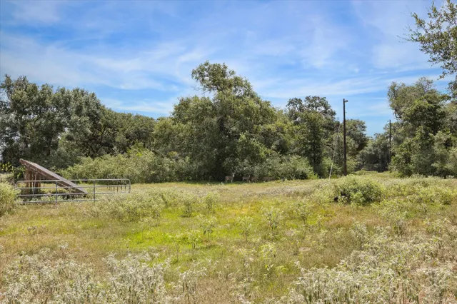 a view of a field with an trees in the background