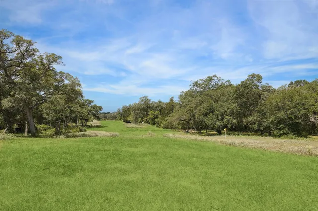 a view of a grassy field with trees
