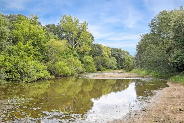 a view of a lake from a yard