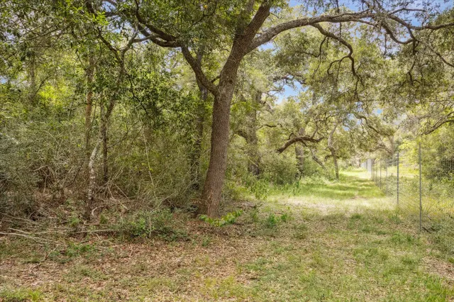 a view of empty yard with trees