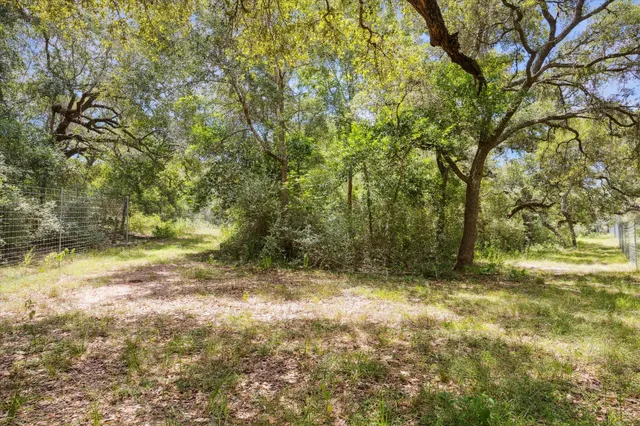 a view of a yard with a tree