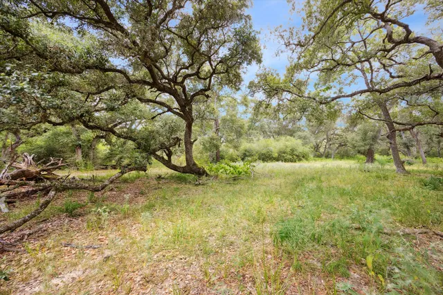 a view of a yard with a tree