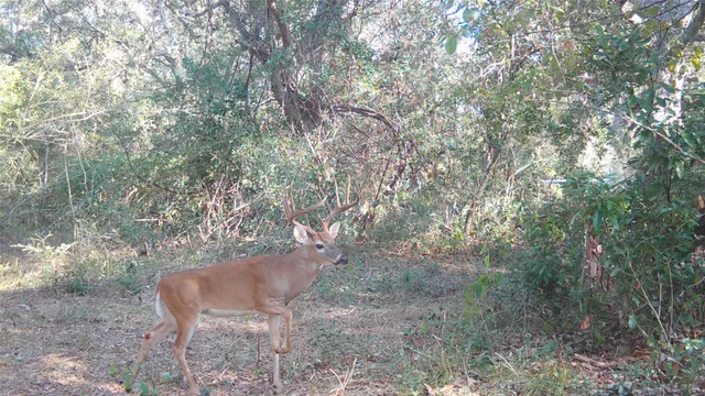 a view of a outdoor space