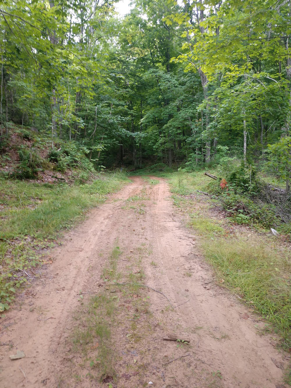 Tbd North Maple Block Road Paradise, MI 49768 - Photo 12 of 18 Gallery Image 12