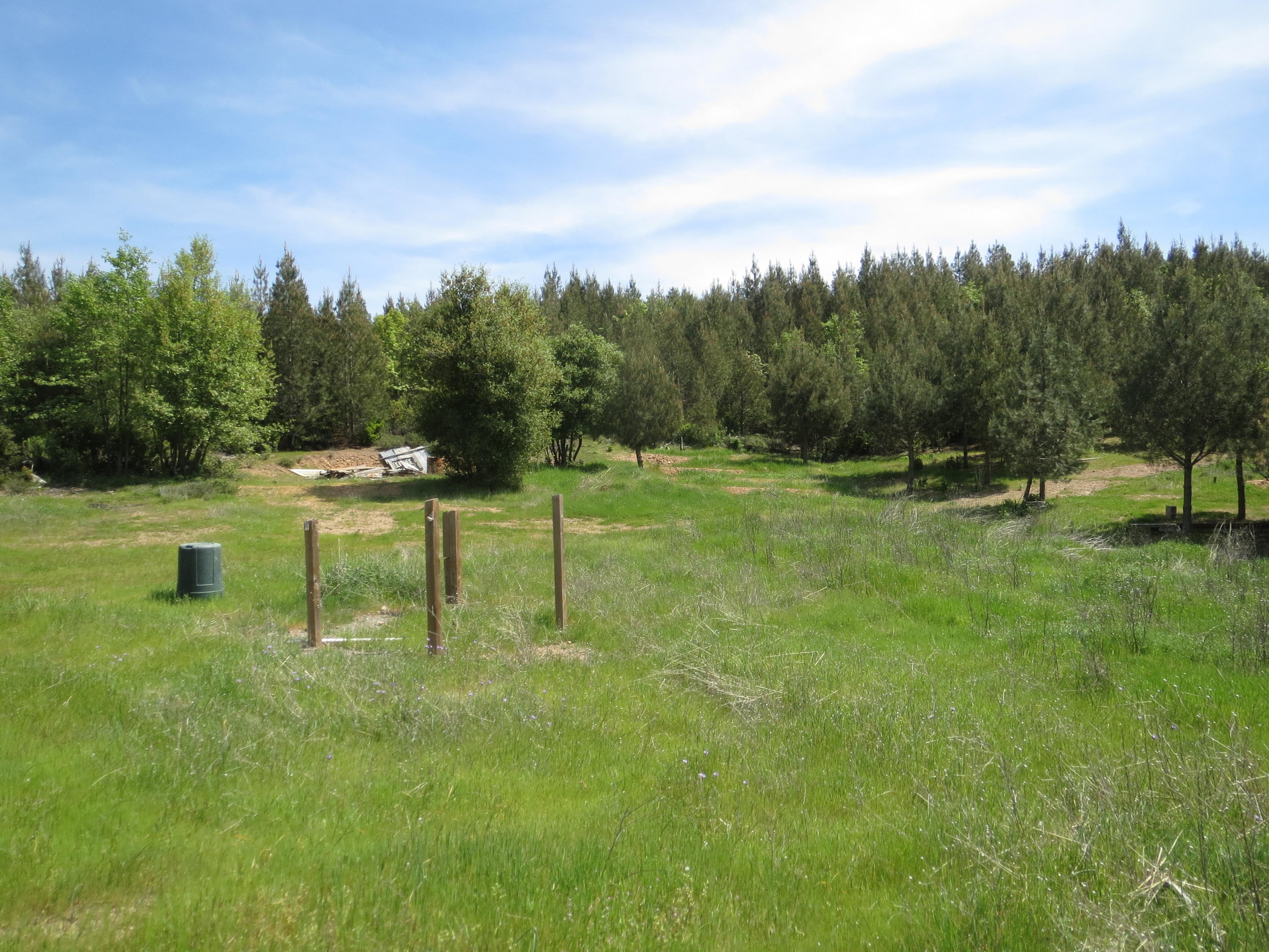 57-acres 57-acres Backbone Ridge Road Bella Vista, CA 96008 - Photo 3 of 11 Meadow and well
