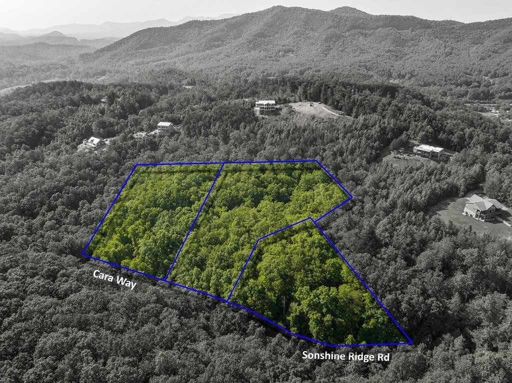 14 Cara Way Cosby, TN 37722 - Photo 18 of 18