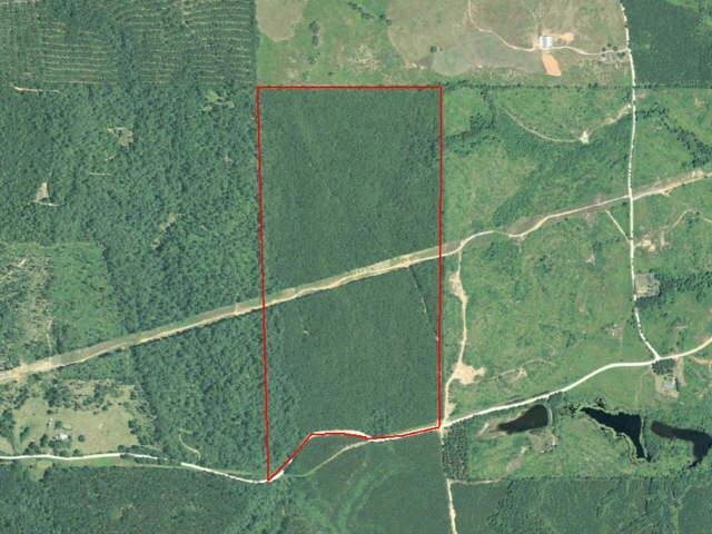 0 Otis Ransby Road Franklin, GA 30217 - Photo 1 of 1