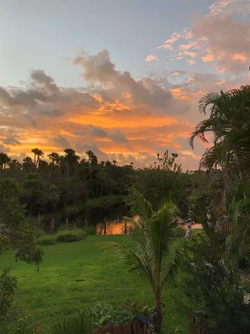 a view of a garden with wooden floor