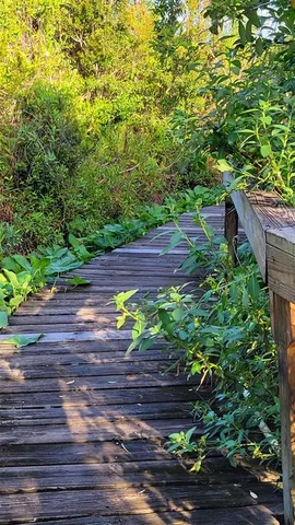 a view of a swimming pool with a table and chairs under an umbrella