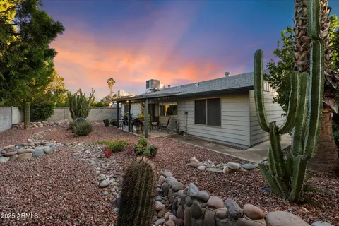 a view of a backyard with tree s