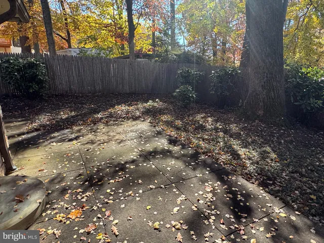 a view of backyard with tree