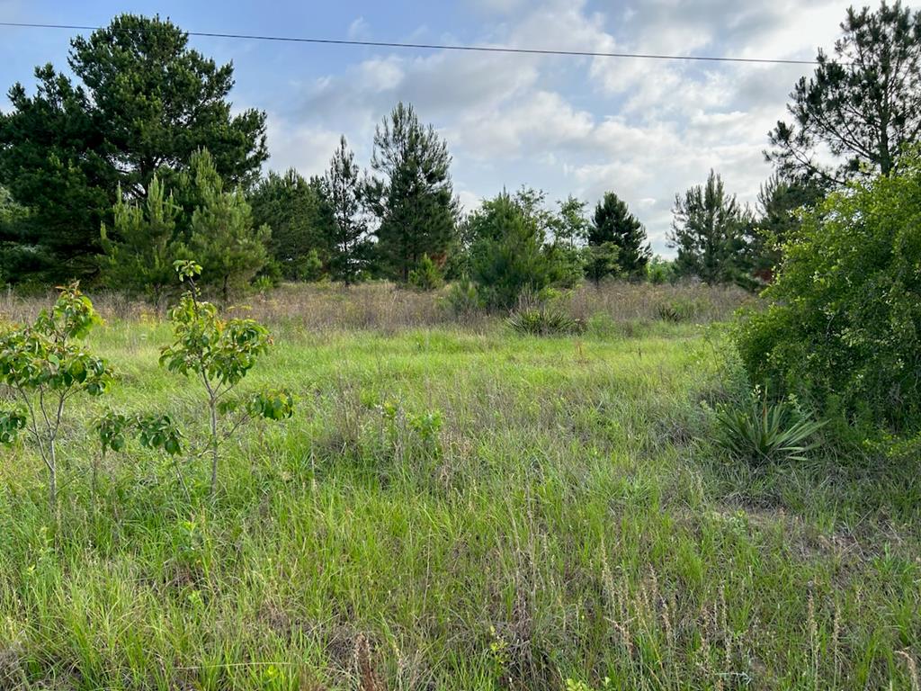 1445 Jimmy Wells Road Ellaville, GA 31806 - Photo 1 of 4 Main View