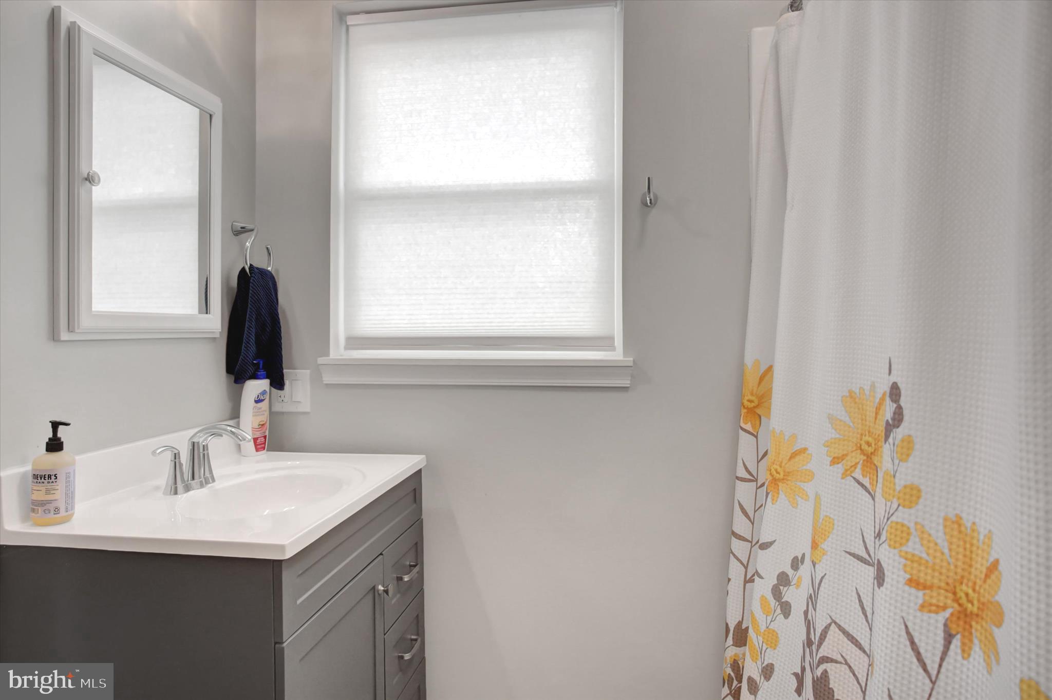 2688 Rocky Spring Road Chambersburg, PA 17201 - Photo 25 of 36 a bathroom with a sink and a mirror