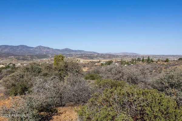 a view of city and mountain