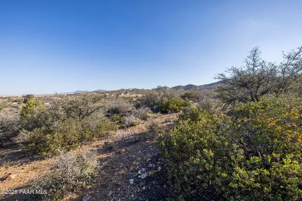 a view of a mountain range with trees in the background