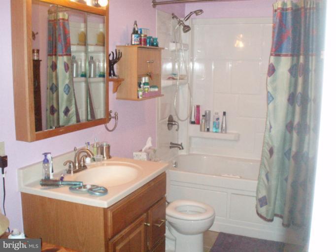 8221 Scotts Level Road Pikesville, MD 21208 - Photo 11 of 11 Bath (Master)