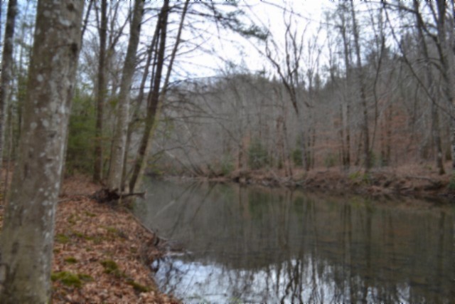 0 Steel Tram Ridge Crawford, TN 38554 - Photo 1 of 66 a view of a lake view
