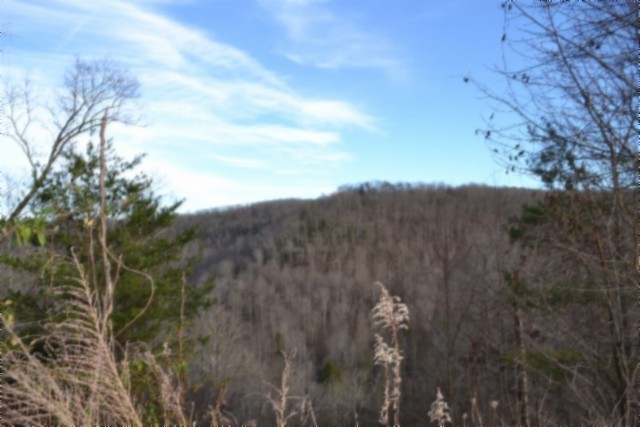 0 Steel Tram Ridge Crawford, TN 38554 - Photo 15 of 66 a view of a city with lush green forest
