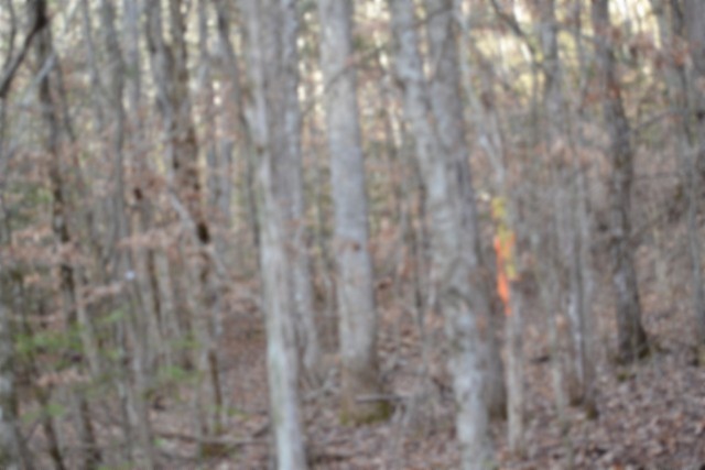 0 Steel Tram Ridge Crawford, TN 38554 - Photo 29 of 66