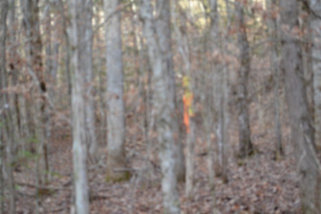 0 Steel Tram Ridge Crawford, TN 38554 - Photo 31 of 66