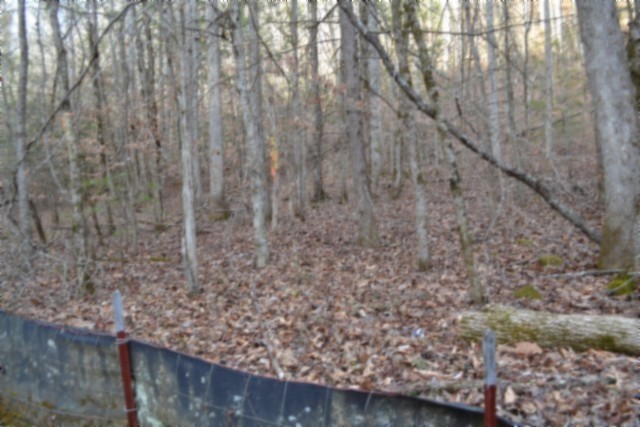 0 Steel Tram Ridge Crawford, TN 38554 - Photo 32 of 66 a close up of a wooden floor