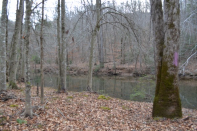 0 Steel Tram Ridge Crawford, TN 38554 - Photo 39 of 66 a backyard of a house