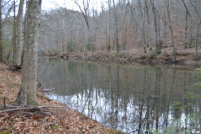 0 Steel Tram Ridge Crawford, TN 38554 - Photo 40 of 66 a view of wooden fence