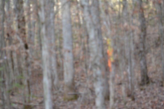 0 Steel Tram Ridge Crawford, TN 38554 - Photo 4 of 66 a view of yard