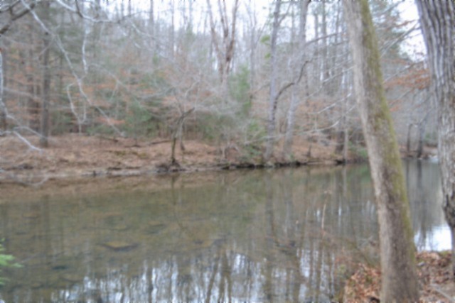 0 Steel Tram Ridge Crawford, TN 38554 - Photo 41 of 66 a water view of a small yard