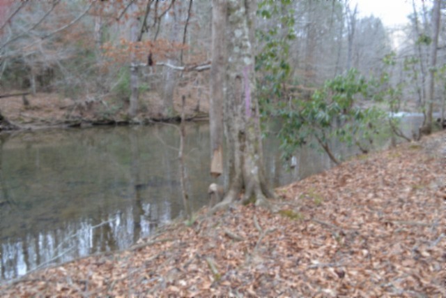 0 Steel Tram Ridge Crawford, TN 38554 - Photo 46 of 66 a view of a lake view