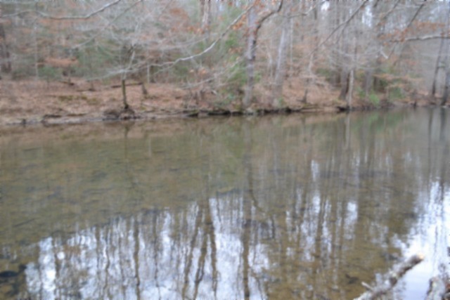 0 Steel Tram Ridge Crawford, TN 38554 - Photo 47 of 66