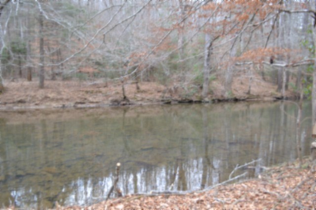 0 Steel Tram Ridge Crawford, TN 38554 - Photo 48 of 66