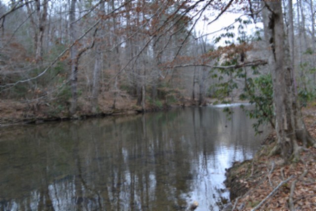 0 Steel Tram Ridge Crawford, TN 38554 - Photo 5 of 66