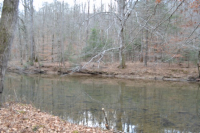 0 Steel Tram Ridge Crawford, TN 38554 - Photo 51 of 66