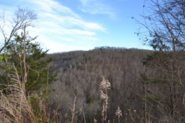 0 Steel Tram Ridge Crawford, TN 38554 - Photo 55 of 66 a view of a yard