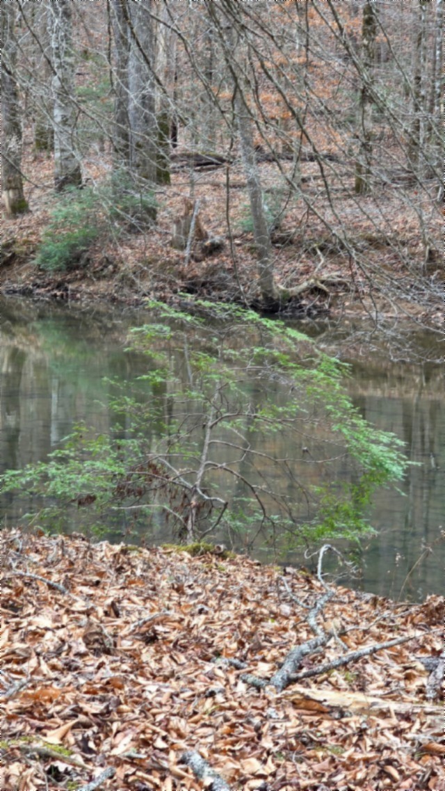 0 Steel Tram Ridge Crawford, TN 38554 - Photo 56 of 66 a backyard of a house with lots of green space and fog