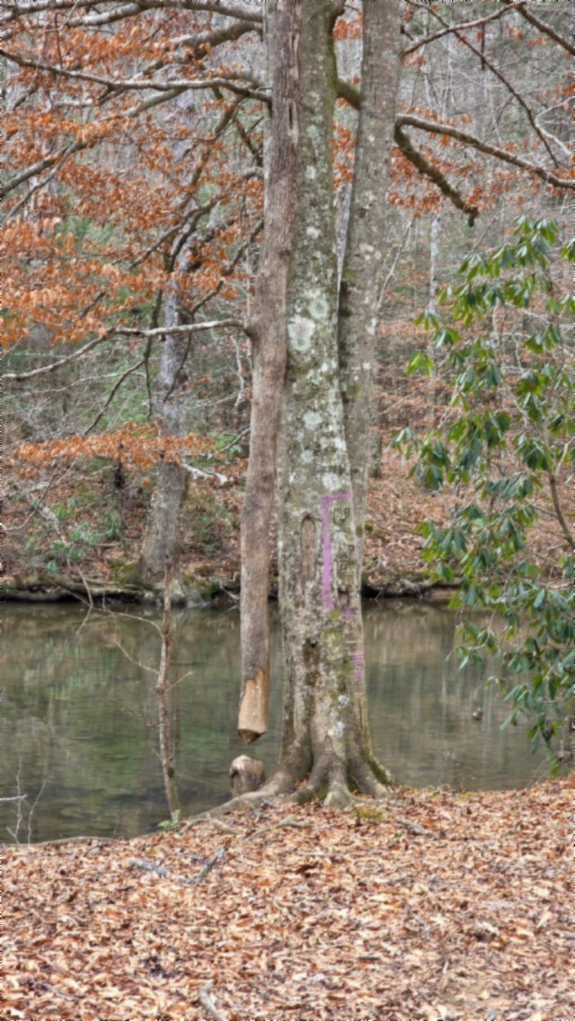 0 Steel Tram Ridge Crawford, TN 38554 - Photo 58 of 66