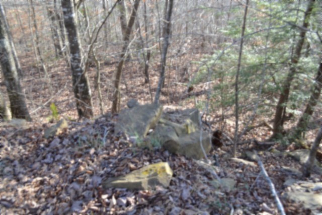 0 Steel Tram Ridge Crawford, TN 38554 - Photo 60 of 66 a backyard of a house