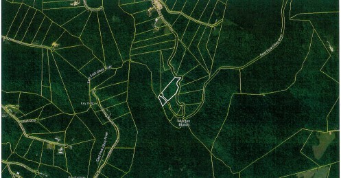 0 Steel Tram Ridge Crawford, TN 38554 - Photo 63 of 66 a view of a plant and a plant in the garden