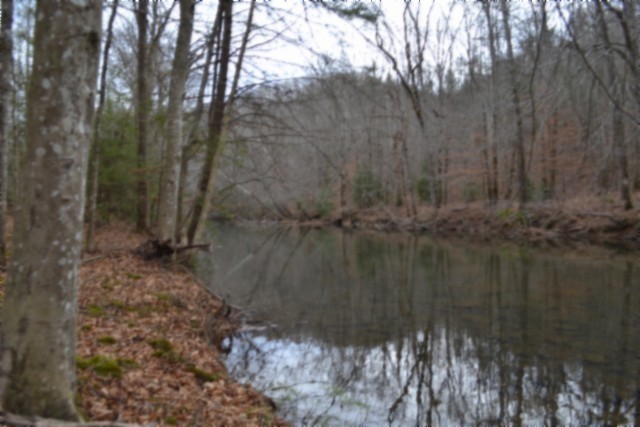 0 Steel Tram Ridge Crawford, TN 38554 - Photo 7 of 66