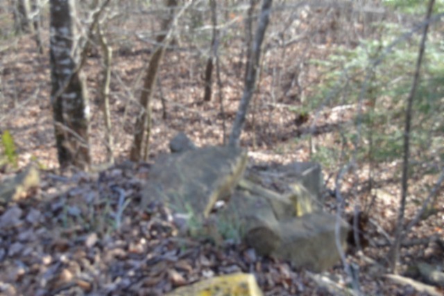 0 Steel Tram Ridge Crawford, TN 38554 - Photo 8 of 66 a view of a tree