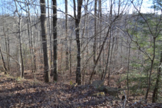 0 Steel Tram Ridge Crawford, TN 38554 - Photo 9 of 66 a view of a backyard of the house