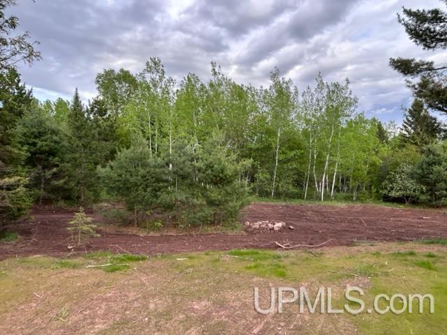 13566 Liminga Road Atlantic Mine, MI 49905 - Photo 33 of 42 Gallery Image 33