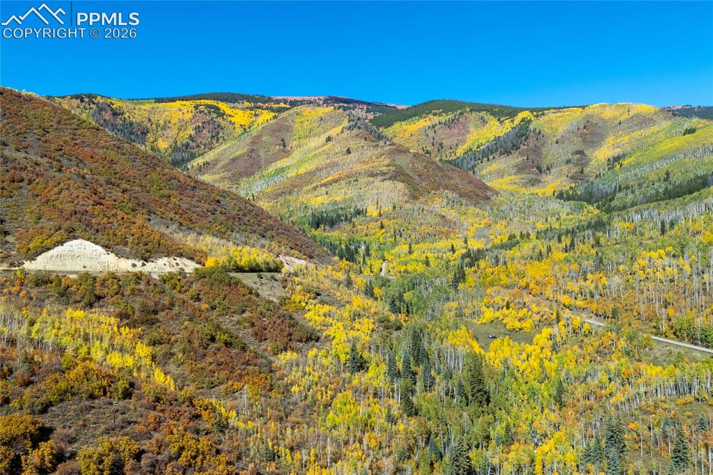 Undisclosed Address Basalt, CO 81621 - Photo 8 of 36 Tons of Aspen!