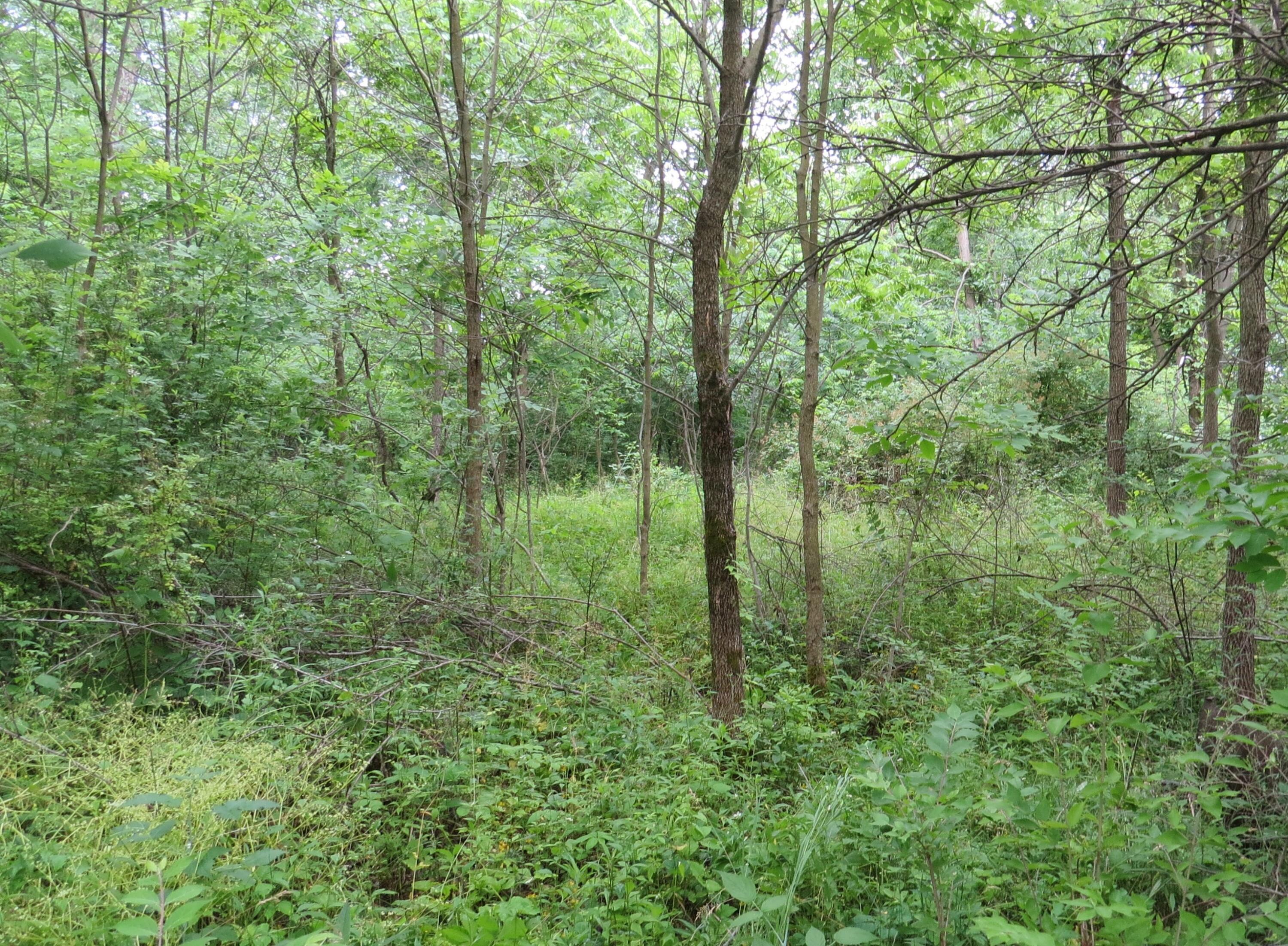 9730 Butcher Road Mount Vernon, OH 43050 - Photo 5 of 6 5) 74307-6a550c0220ef3