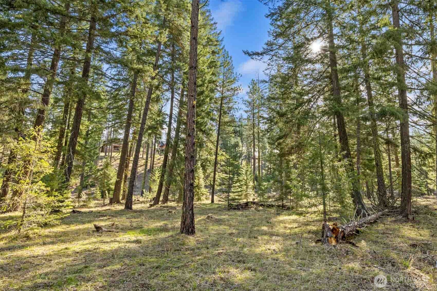52 Wanawish Loop Ronald, WA 98940 - Photo 26 of 26