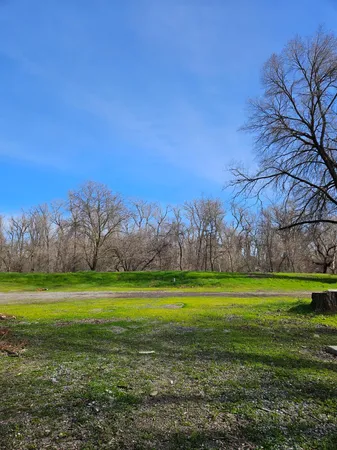 a view of a grassy field with an trees